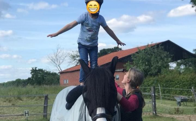 Reittherapie mit den besten Therapeuten