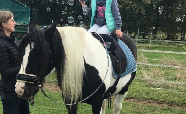 Reittherapie geht weiter!