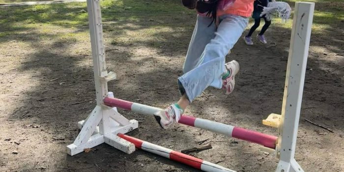 Reitsport auf höchstem Niveau