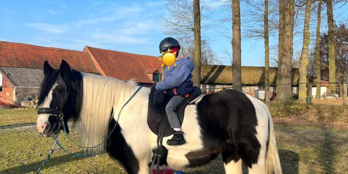 Therapiepferd „Molly“ bewirkt Wunder 💫