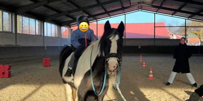 Therapiepferd „Molly“ bewirkt Wunder 💫