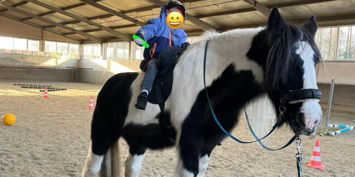 Therapiepferd „Molly“ bewirkt Wunder 💫