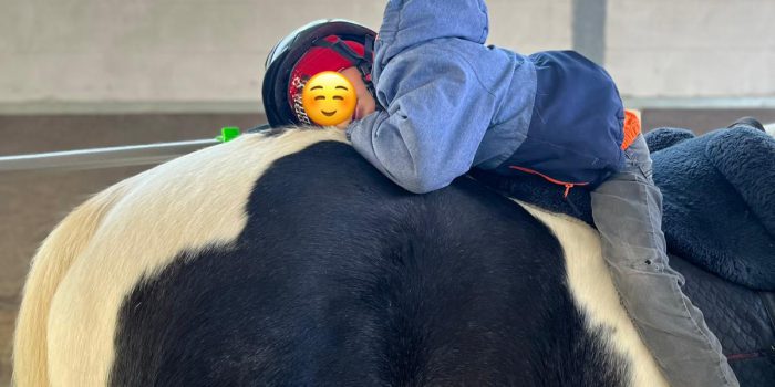 Therapiepferd „Molly“ bewirkt Wunder 💫