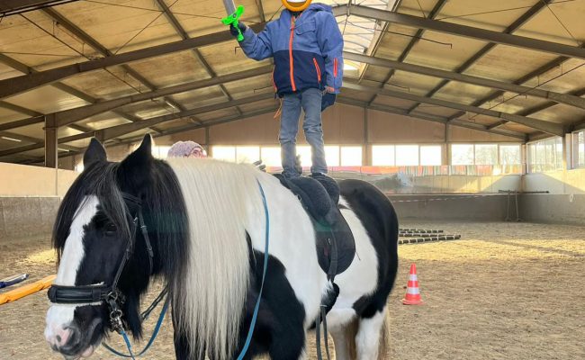 Therapiepferd „Molly“ bewirkt Wunder 💫