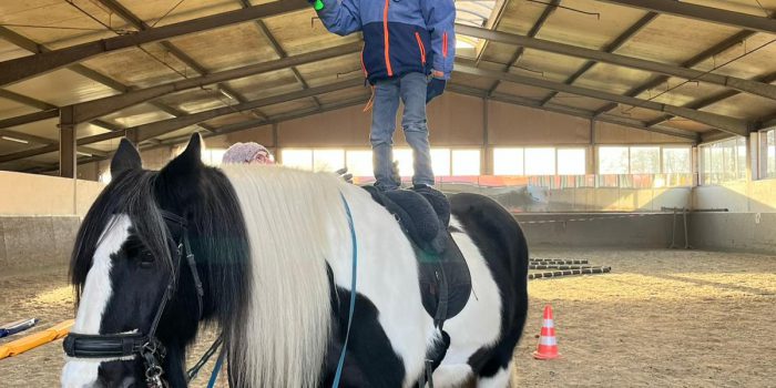 Therapiepferd „Molly“ bewirkt Wunder 💫