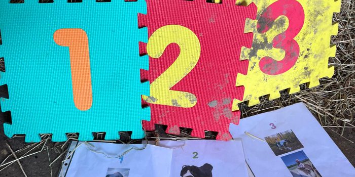 Therapiepferd „Molly“ bewirkt Wunder 💫